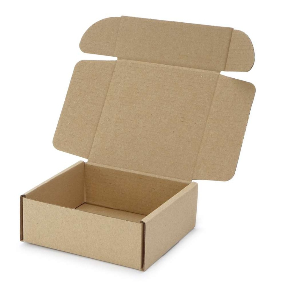100 buc Cutie carton NATUR 250 x 150 x 100 mm [2]