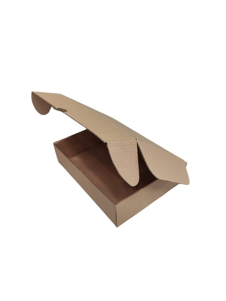 Cutie carton NATUR 295 x 228 x 75 mm [3]