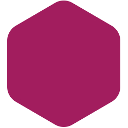 Email pe baza de apă pentru decorarea suprafetelor din metal, lemn sau zidărie fuchsia 0.6l [2]