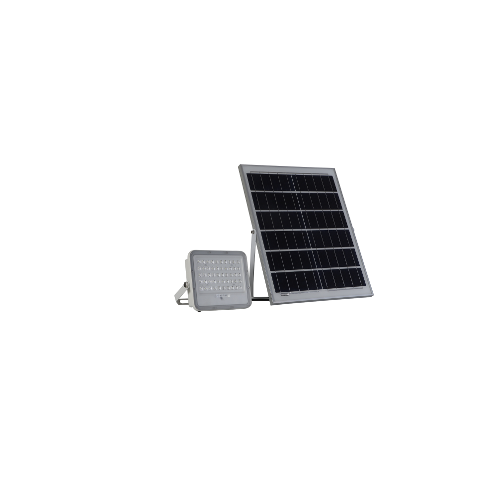 Proiector LED cu Panou Solar si telecomanda 50W/6500k [1]