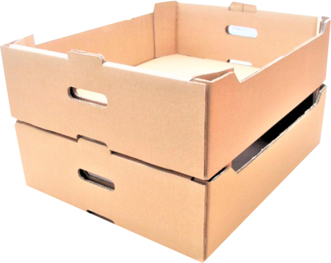 AMBALAJE SI CONSUMABILE - 15 buc Ladita fructe mare 600 x 400 x 130 mm - K13 mare