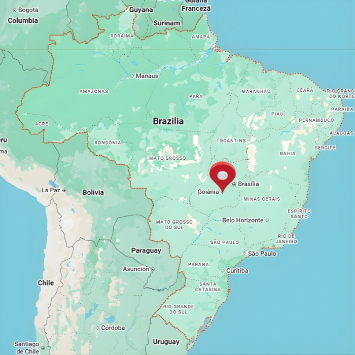 Cafea de specialitate din Brazilia [3]