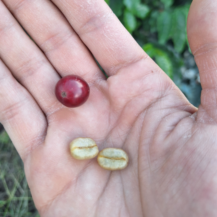 Costa Rica San Ramon [4]