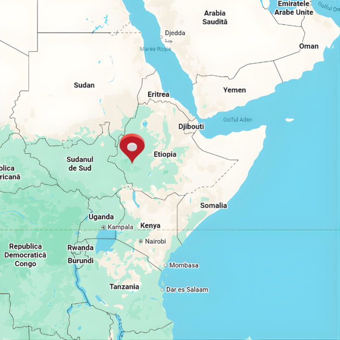 Cafea din ethiopia de la City Roast [3]