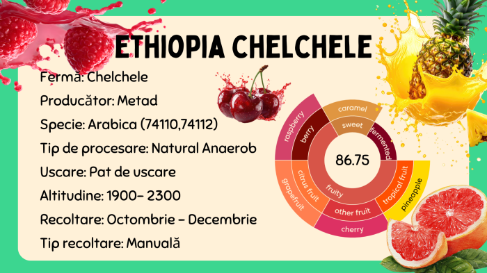 Ethiopia Chelchele [5]