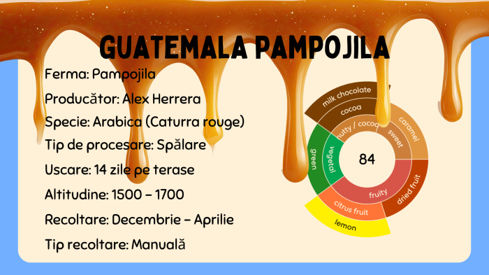 Cafea din Guatemala - Guatemala Pampojila [5]
