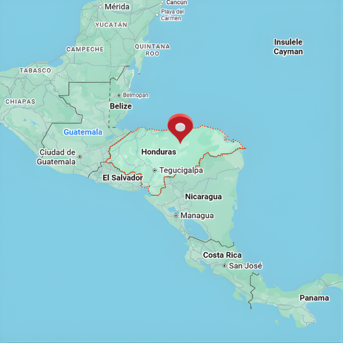 Ciocolată neagra - Cafea de specialitate [3]