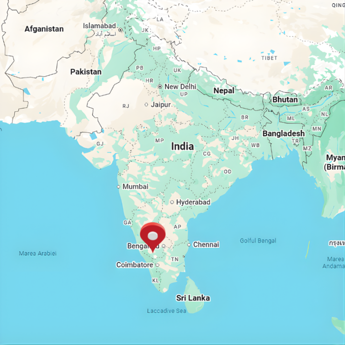 Cafea de specialitate din India [3]