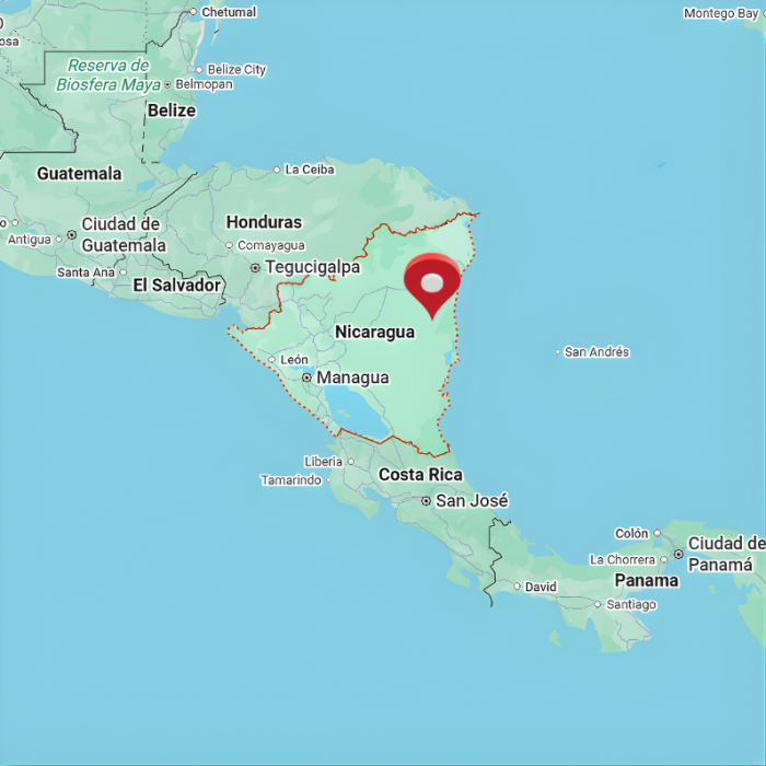 Cafea de specialitate cu lapte [3]