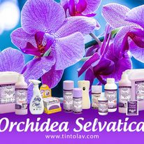 Balsam de rufe concentrat Orhidee Salbatica 1l [3]