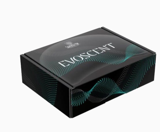 DIFUZOR DE ODORIZARE PROFESIONAL EVOSCENT WHITE (250MP) [2]