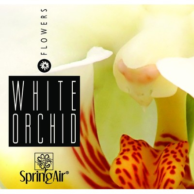 Odorizant spray ambiental,Spring Air,200ml,White Orchid [2]