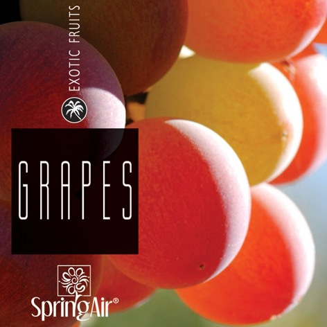 Odorizant spray ambiental,Spring Air,500ml,Grapes [2]