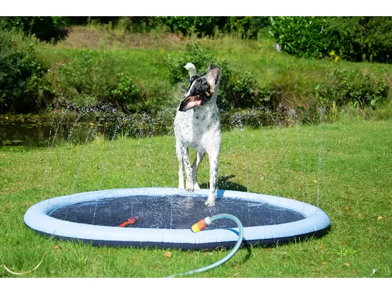 Piscina cu sistem de stropire pentru caini, 150 cm, Dobar [2]