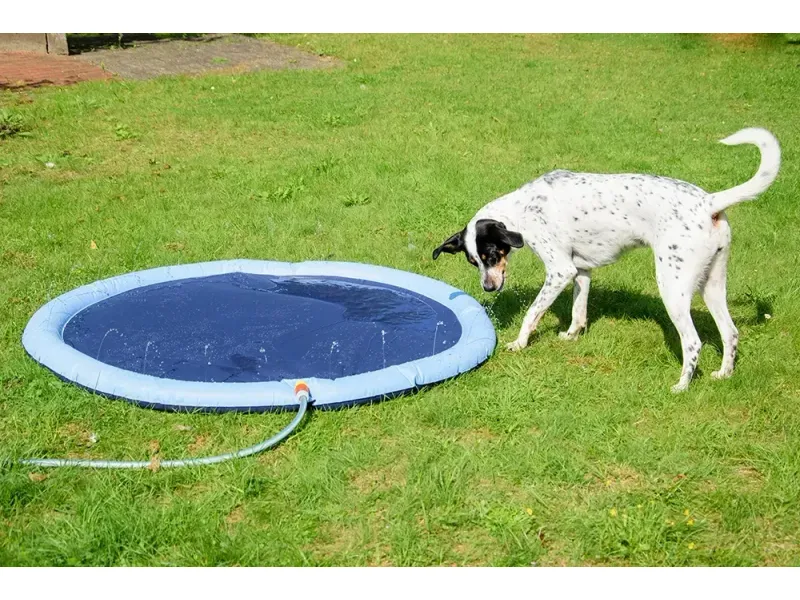 Piscina cu sistem de stropire pentru caini, 150 cm, Dobar [3]