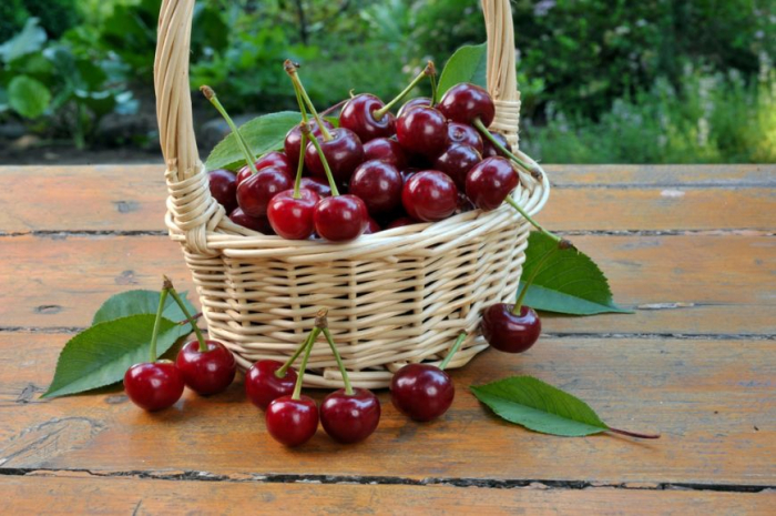 Rezerva odorizanta pentru camera Cherry,250ml [2]