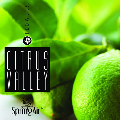 Rezerva odorizant camera,Spring Air ,250ml,Citrus Valley [2]