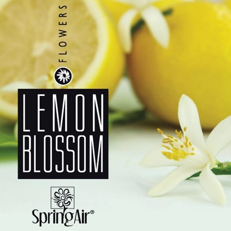 Rezerva odorizant camera,Spring Air ,250ml,Lemon Blossom [2]