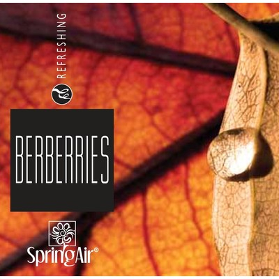 Rezerva odorizanta pentru camera Berberries,250ml [2]