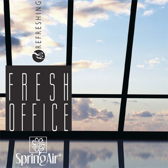 Rezerva odorizanta pentru camera, Fresh Office, 250ml [2]