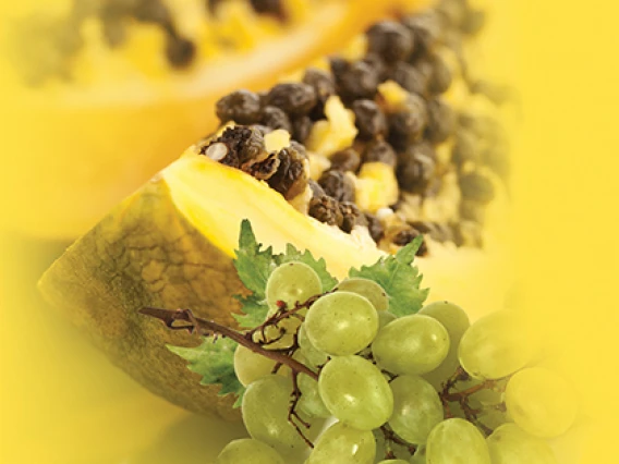 Rezerva odorizanta pentru camera,Papaya Grape,250ml [2]