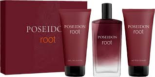 Set cadou man EDT 100ml+after shave 100ml +gel dus 100ml,Root [1]