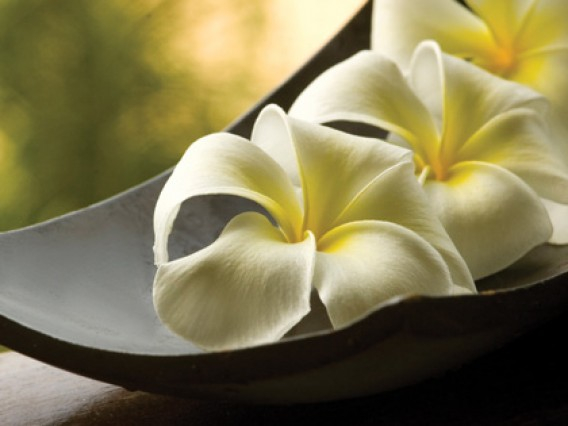 Ulei esential (rezerva) pentru difuzor,Relax,500ml [3]