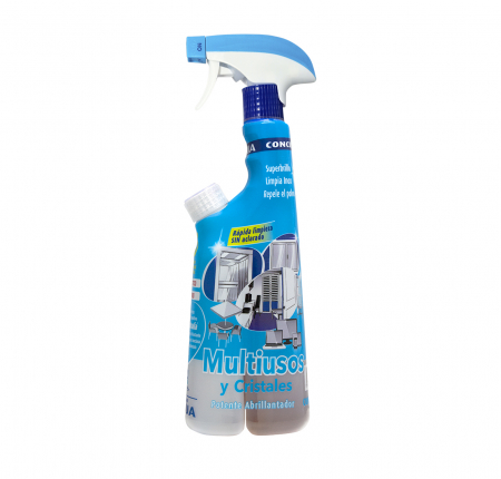 Detergent pentru geamuri si multisuprafete, Ecofoam, 425ml