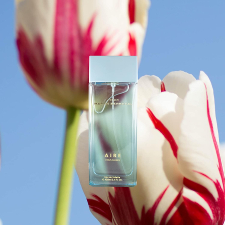 EDT dama Vicky Martin Berrocal Aire 100ml [3]