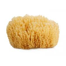 NV Burete de baie pentru piele sensibila, natural SEA SPONGE [1]
