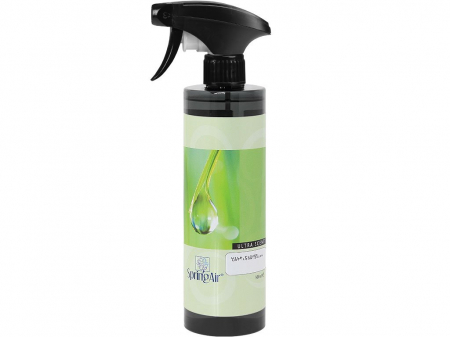 Odorizant spray ambiental,Spring Air,500ml,Wild Flower [0]