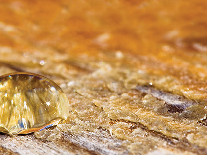 Rezerva odorizanta pentru camera,Nectar,250ml [2]