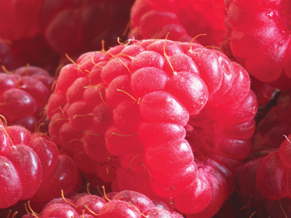 Rezerva odorizanta pentru camera, Raspberry,250ml [1]