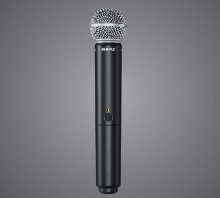 BLX1288E/SM35-K14 -  Sistem wireless (614-638 MHz) [3]