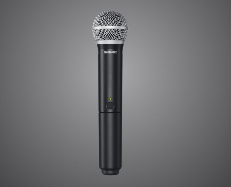 BLX288E/PG58-K14 - Sistem wireless cu 2 microfoane PGA58 [1]