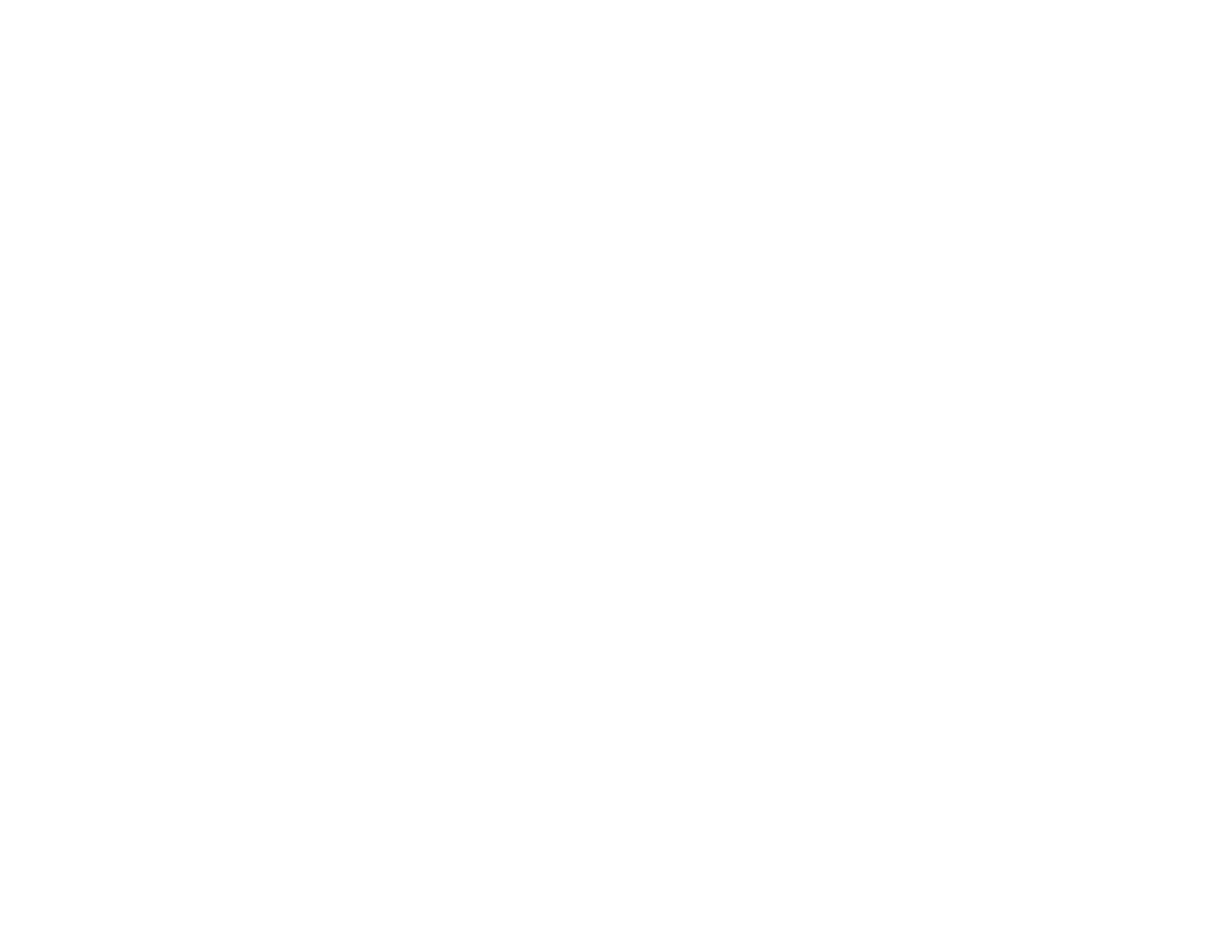 The Cleek team