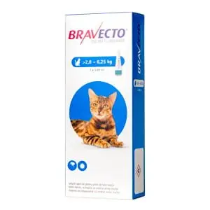 Farmacie - Bravecto pentru Pisici (2.8-6.25 kg) - 250 mg