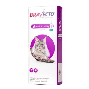 Farmacie - Bravecto pentru Pisici (6.25 kg-12.5) - 500 mg