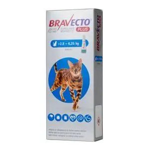 Farmacie - Bravecto Plus pentru Pisici (2.8-6.25 kg) - 250 mg
