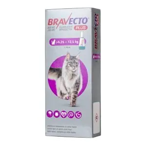 Farmacie - Bravecto Plus pentru Pisici (6.25 kg-12.5) - 500 mg
