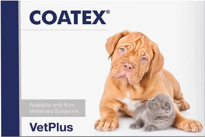 Afecțiuni dermatologice - Coatex - Supliment pentru Piele și Blană la Câini și Pisici
