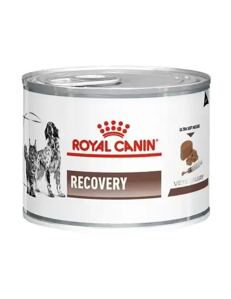Pisici - Conservă Recovery pentru Câini & Pisici - Royal Canin