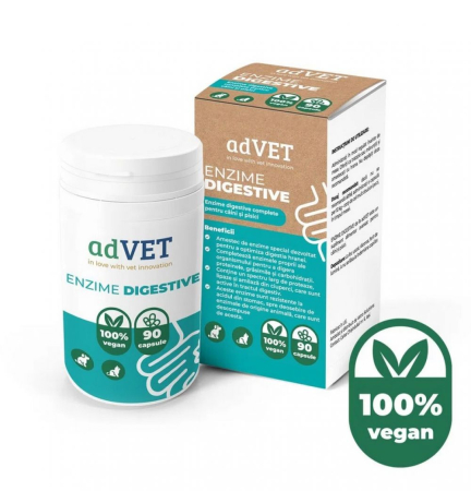 Suplimente - Enzime Digestive – Supliment Alimentar pentru Câini și Pisici