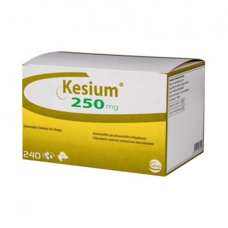 Farmacie - Kesium Antimicrobian pentru Câini - 250 mg
