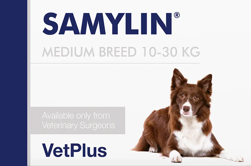 Afecțiuni hepatice - Samylin (10 - 30 kg) - Supliment Hepatic pentru Câini