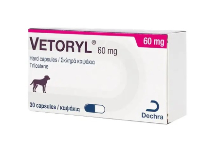 Afecțiuni endocrine - Vetoryl 60 mg – Tratament Hiperadrenocorticism pentru Câini