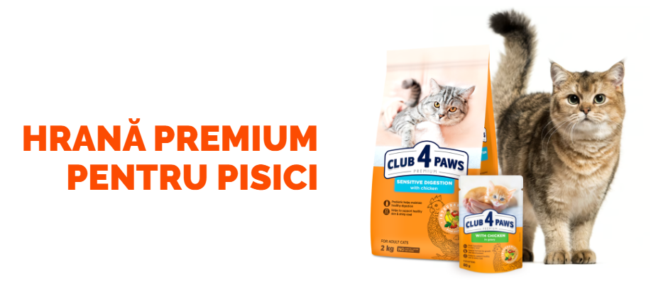 CLUB4PAWS PISICI