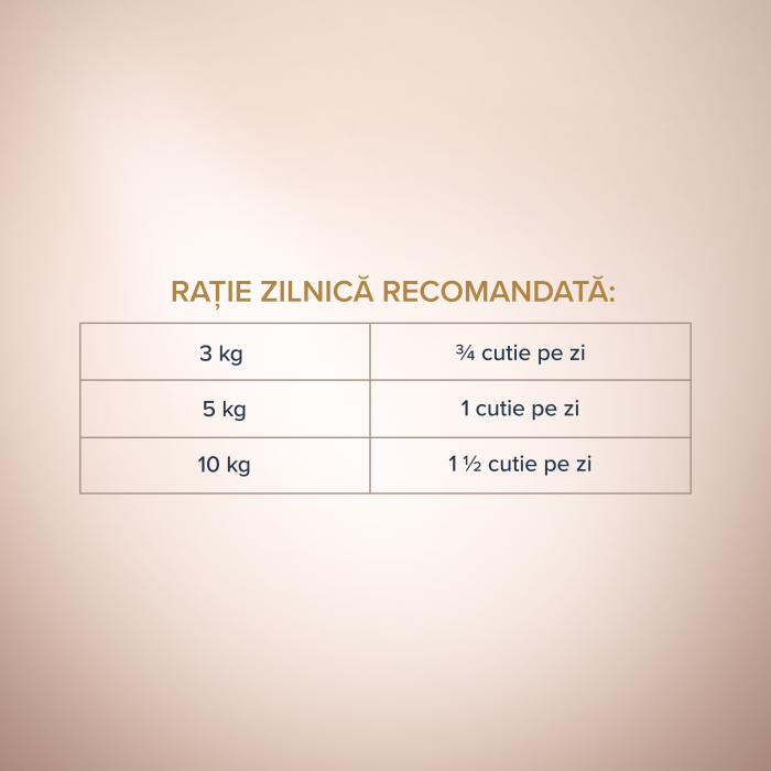 CLUB 4 PAWS Selection, Pate hrana umeda caini adulti, Curcan si miel, 400g [4]