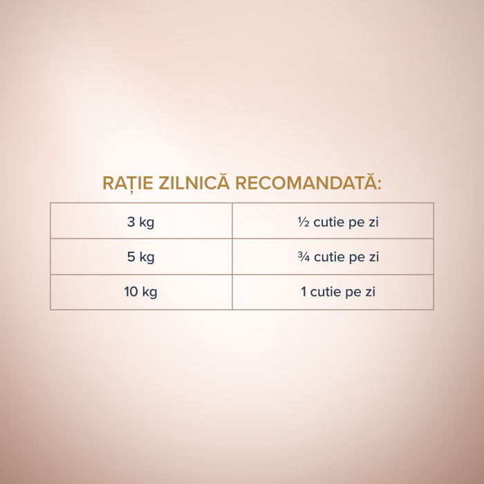 CLUB 4 PAWS Selection, Pate hrana umeda caini adulti, Pui si curcan, 400g [4]
