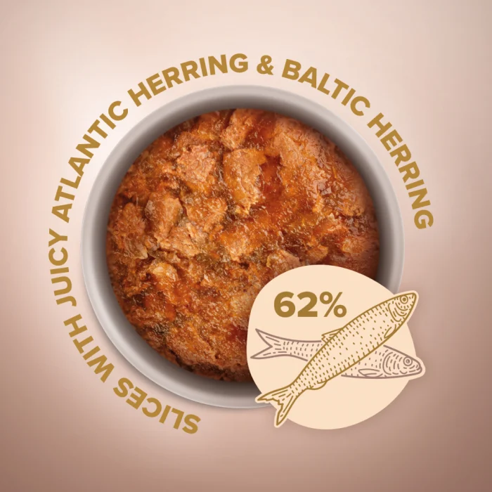 CLUB 4 PAWS Selection, Plic hrana umeda pisici adulte, Bucati de Hering Baltic&Atlantic in jeleu, Set 12x80g [3]